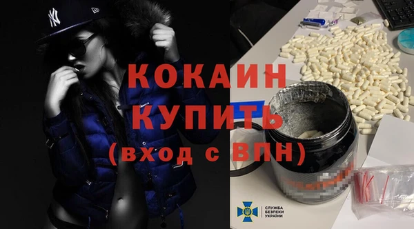 шишки Наволоки