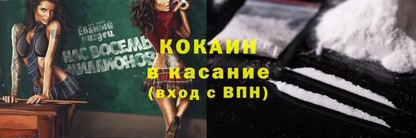 шишки Наволоки