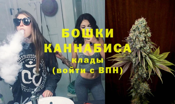 шишки Наволоки