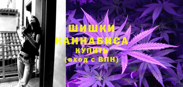 шишки Наволоки