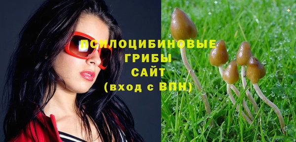 гидропоника Навашино