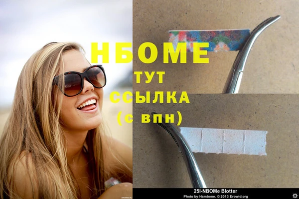 шишки Наволоки