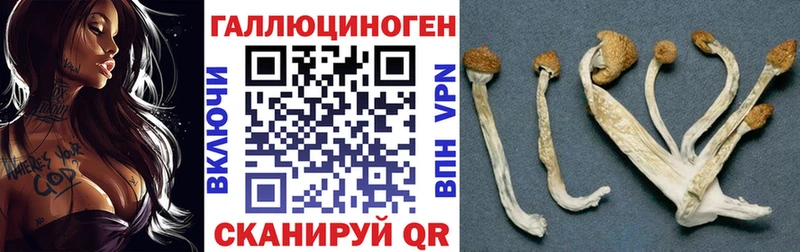 Галлюциногенные грибы Cubensis  Купить где  Починок 