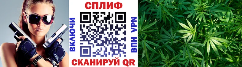 Купить где  Починок  Конопля тримм 